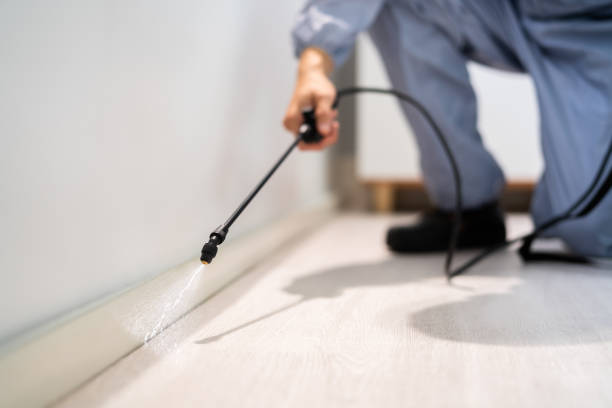 Bed Bug Pre-Treatment Preparation Assessment in Allison Park